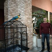 ���������� ������, ���� ������� ������, 50 ���, ������������ ��� ������, ����� � ���������, c�������� ���������