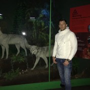 ���������� ����, ���� ������� Victor, 38 ���, ������������ ��� ������, ����� � ���������, c�������� ���������