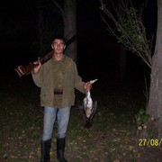  -,   Mircea, 37 ,     , c 