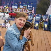 ���������� �������, ���� ������� ������, 55 ���, ������������ ��� ����� � ���������, c�������� ���������