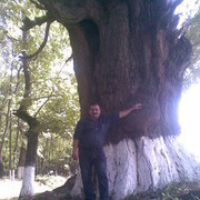  ,   Agoyuslu, 63 ,   