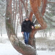 ���������� ���������������, ���� ������� �������, 38 ���, ������������ ��� ������, ����� � ���������, c�������� ���������