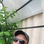 ���������� �����������, ���� ������� ����������, 48 ���, ������������ ��� ������, ����� � ���������, c�������� ���������, ���������