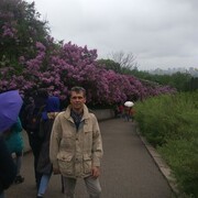  ,   , 56 ,   ,   , c 