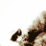 ���������� ������-��-����, ���� ������� ����, 30 ���, ������������ ��� ������, ����� � ���������, c�������� ���������