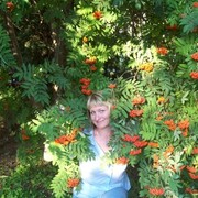   ,   , 58 ,     , c 