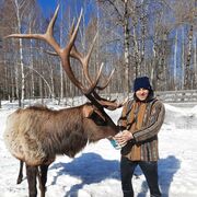 ���������� �����, ���� ������� ������, 41 ���, ������������ ��� ����� � ���������, c�������� ���������, ���������