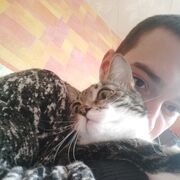 ���������� ����������, ���� ����� ������, 23 ����, ������������ ��� ����� � ���������, c�������� ���������