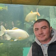  ,   KR, 37 ,   ,   