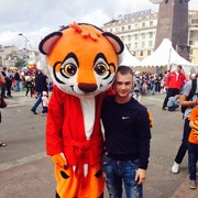  ,   VOLK, 29 ,   