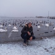 ���������� ���������, ���� ������� ����, 36 ���, ������������ ��� ������, ����� � ���������, c�������� ���������