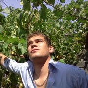  ,   Andrew, 37 ,   ,   , c 