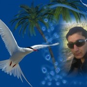  ,  Shohroj, 32