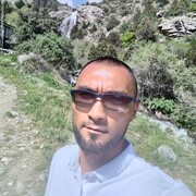 -,   , 38 ,   ,   , c , 