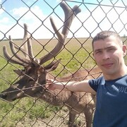 ,   , 36 ,   