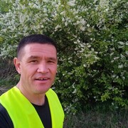  ,   , 43 ,   ,   