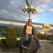 ���������� ������, ���� ������� ����, 37 ���, ������������ ��� ������, ���������