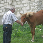 ���������� �������, ���� ������� �����, 69 ���, ������������ ��� ������, ����� � ���������, c�������� ���������