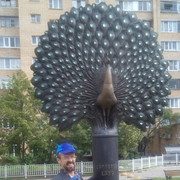  ,   , 53 ,   ,   , c 