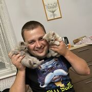 ���������� ���������, ���� ������� �������, 29 ���, ������������ ��� ������, ����� � ���������