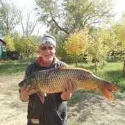  ,   , 64 ,   ,   