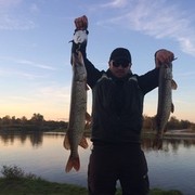 ���������� �����, ���� ������� ����, 43 ����, ������������ ��� ������, ����� � ���������, c�������� ���������