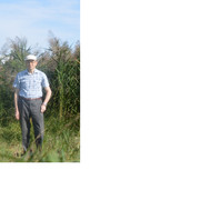  ,   , 49 ,   ,   , c 