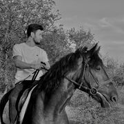  --,    , 26 ,   ,   , c , 