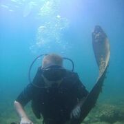 ���������� ���������, ���� ����� ������, 22 ����, ������������ ��� ������, c�������� ���������, ���������