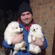 ���������� ������, ���� ������� ����, 33 ����, ������������ ��� ������, ����� � ���������, c�������� ���������