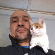  ,   , 51 ,   ,   , c 
