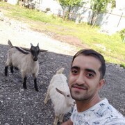  ,   , 31 ,   ,   , c , 