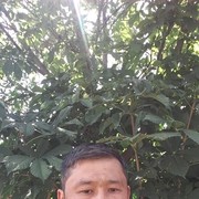  ,   , 41 ,     , c 