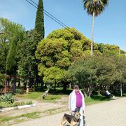  ,   , 50 ,   ,   