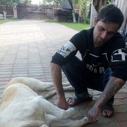 ���������� ��������, ���� ������� �����, 39 ���, ������������ ��� ������, ����� � ���������, c�������� ���������