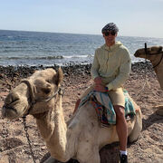 ���������� ������, ���� ������� ������, 37 ���, ������������ ��� ������, ����� � ���������