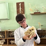 ���������� �������, ���� ����� ������, 19 ���, ������������ ��� ������, ����� � ���������