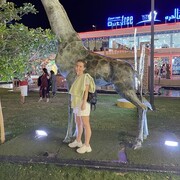  ,   , 33 ,   ,   