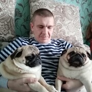 ���������� ����, ���� ������� �������, 41 ���, ������������ ��� ������, ����� � ���������, c�������� ���������