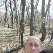  ,   , 41 ,   ,   