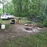 ���������� ������, ���� ������� �������, 38 ���, ������������ ��� ����� � ���������, c�������� ���������