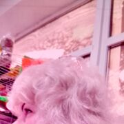  ,   , 62 ,   c 
