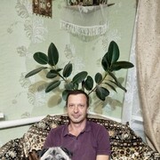  ,   , 51 ,   c 