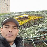  ,   , 38 ,   ,   