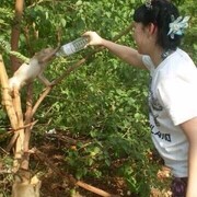 ���������� �������, ���� ������� �������, 45 ���, ������������ ��� ������, ����� � ���������, c�������� ���������, ���������