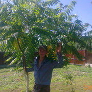  ,   Serg, 37 ,   