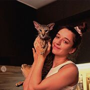 ���������� ������, ���