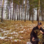 ���������� �������, ���� ������� �������, 43 ����, ������������ ��� ������, ����� � ���������, c�������� ���������