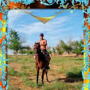 ���������� ���������, ���� ������� ����, 33 ����, ������������ ��� ������, ����� � ���������