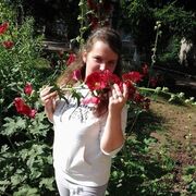 ���������� ����������-���������, ���� ������� �������, 27 ���, ������������ ��� ������, ����� � ���������